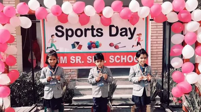 B.S.M. Public School campus 2