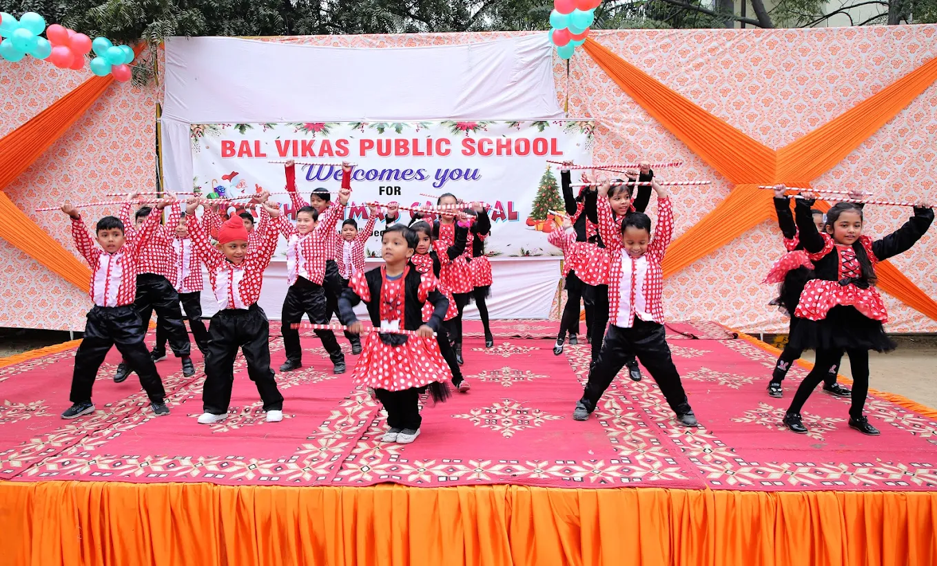 Bal Vikas Public School gallery 51