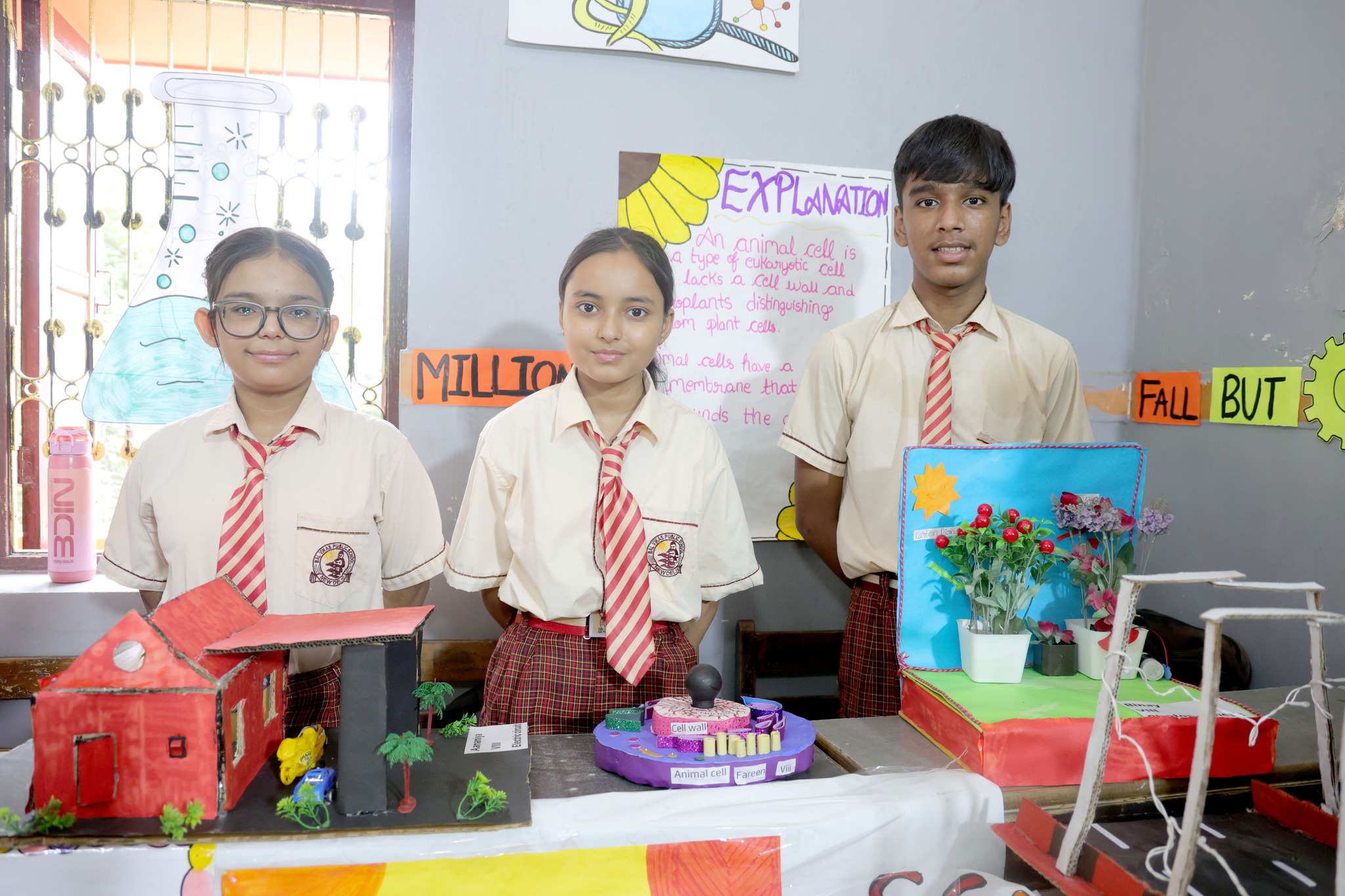 Bal Vikas Public School gallery 17