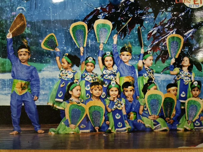 Little Elly campus 2