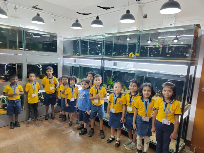 Sanford Wings International Preschool campus 4