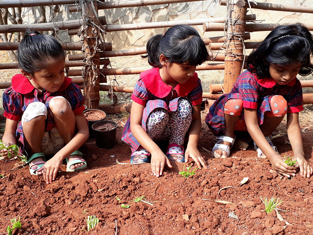 Vivero International Preschool & Child Care campus 3