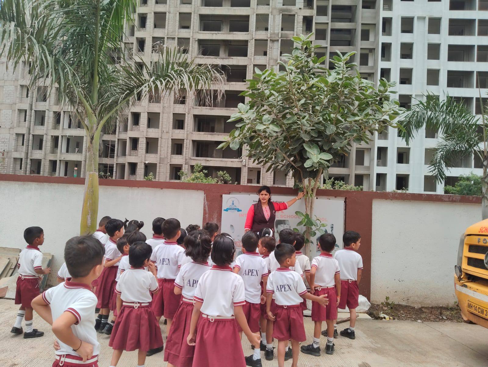 Apex International School 2