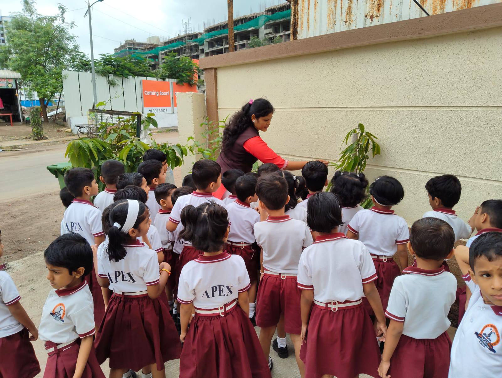 Apex International School 17