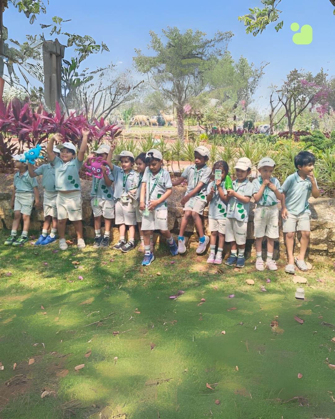 Dibber International Preschool 3