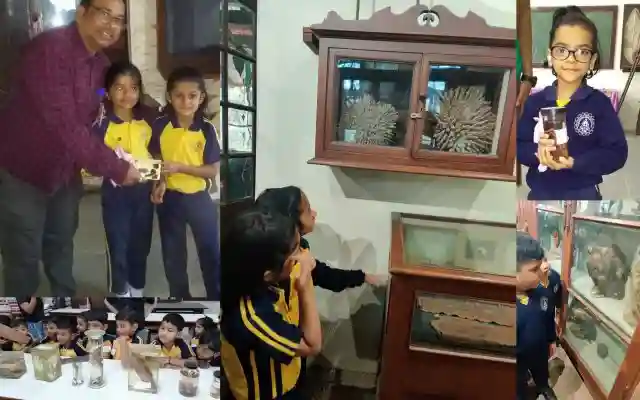 Chhabria Nursery School 3