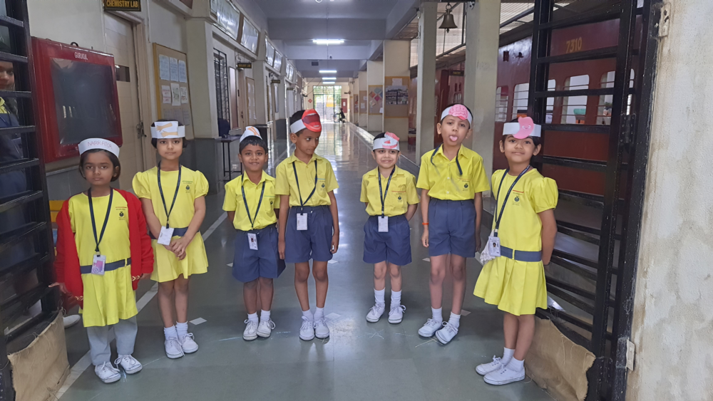 S.E.S. Gurukul School campus 4