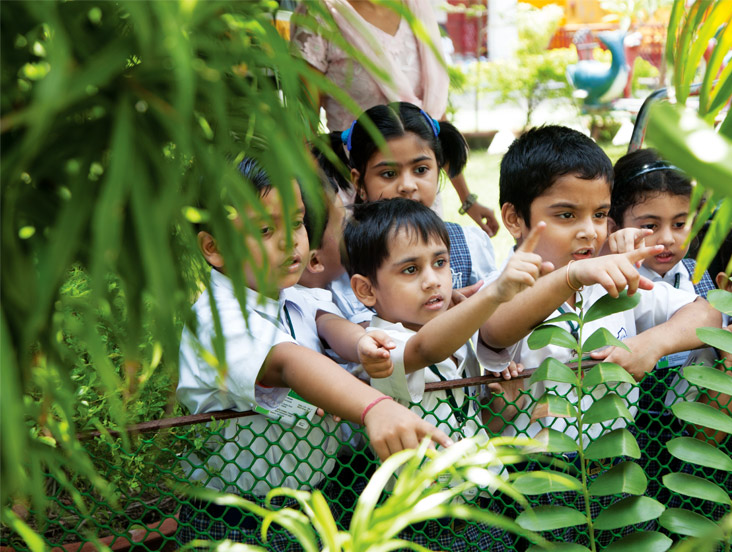 Delhi Public School Junior 2