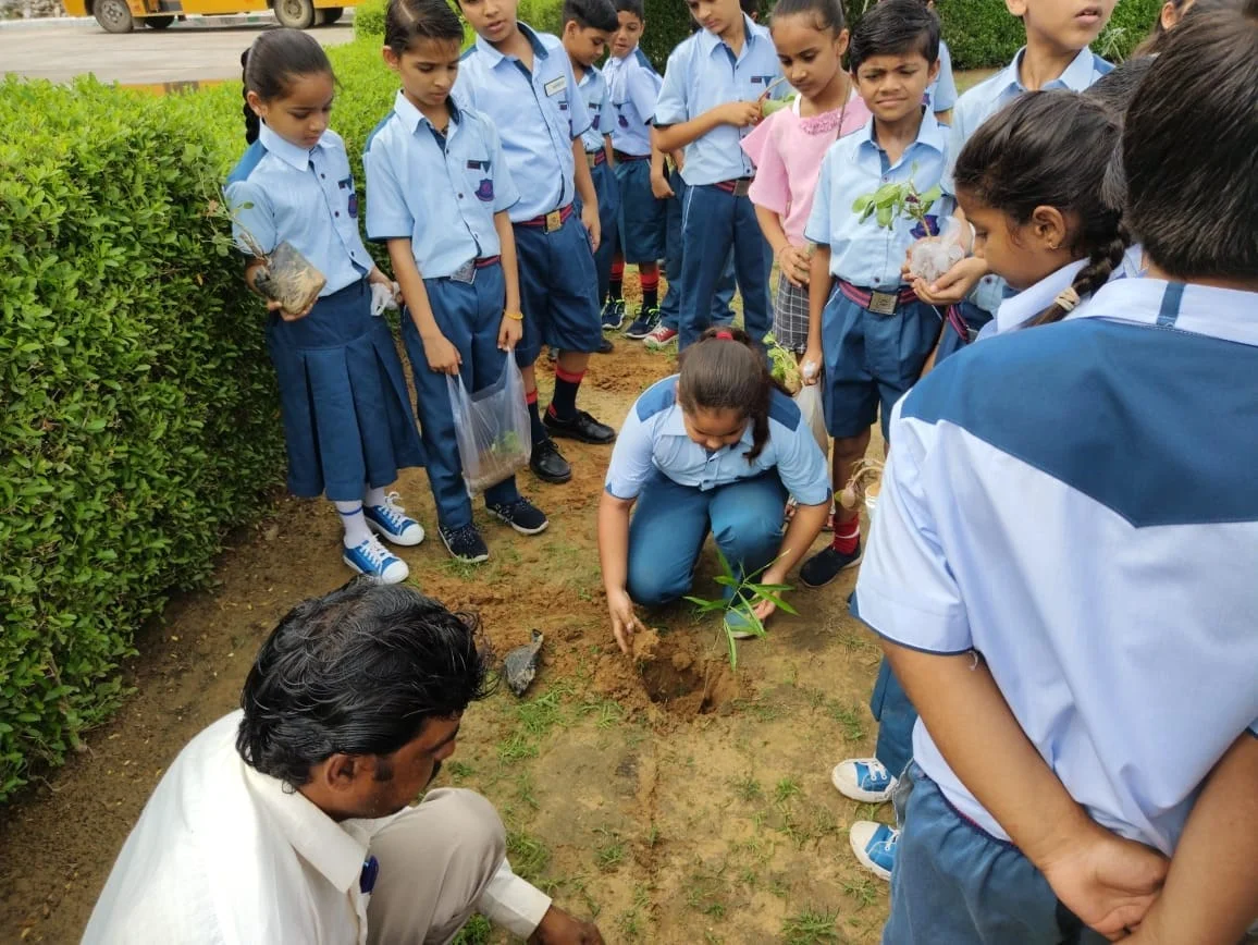 Rawat Public School 3