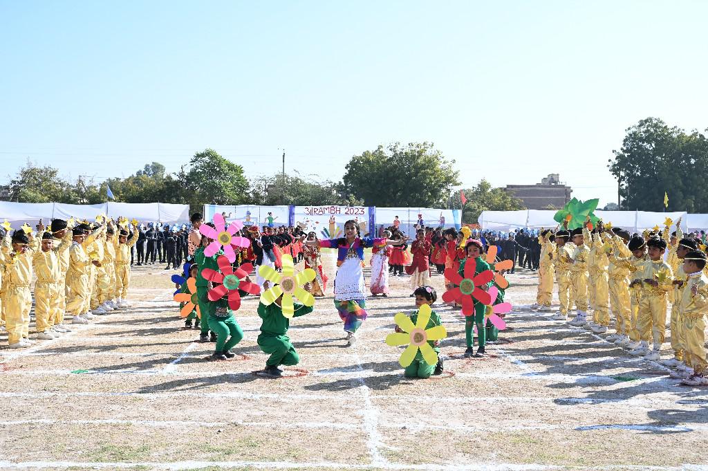 Army Public School 8