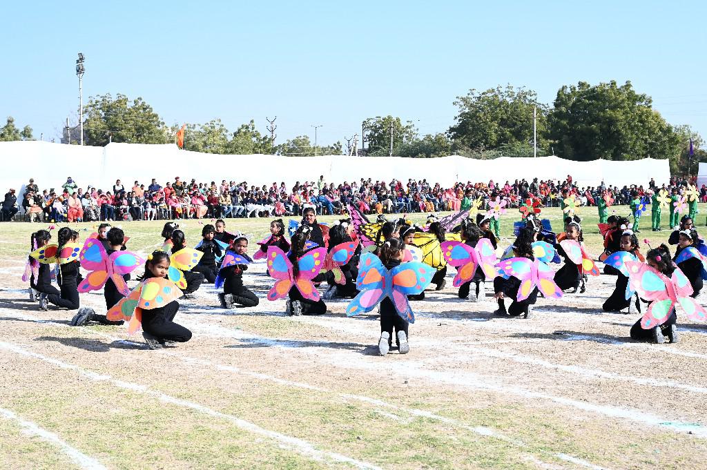 Army Public School 17