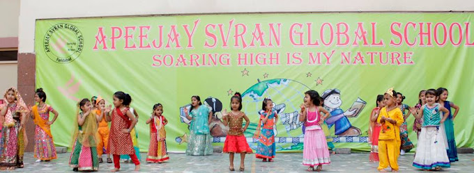 Apeejay Svran Global School 8