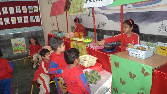 Apeejay Svran Global School 28