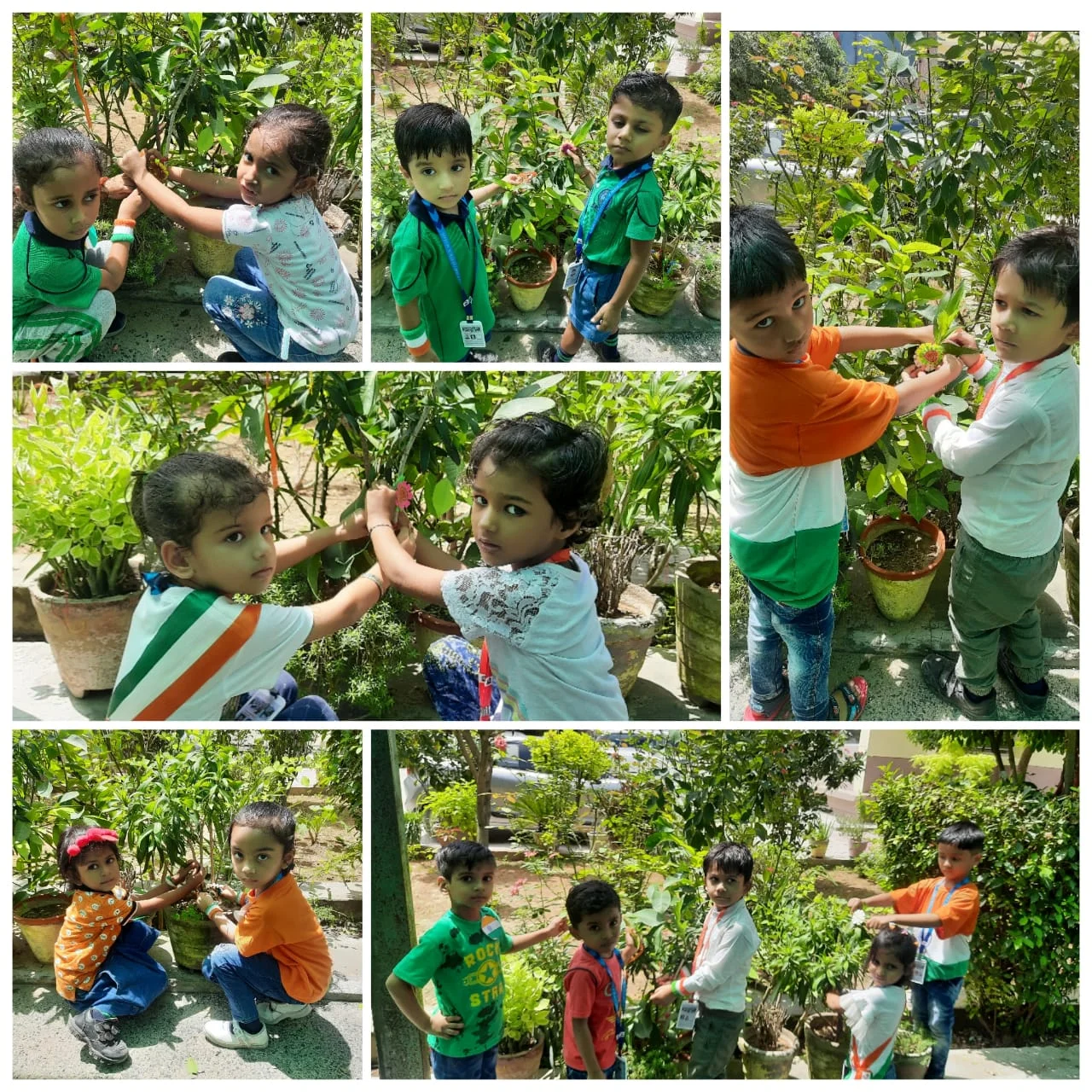 Tarun Niketan Public School 5
