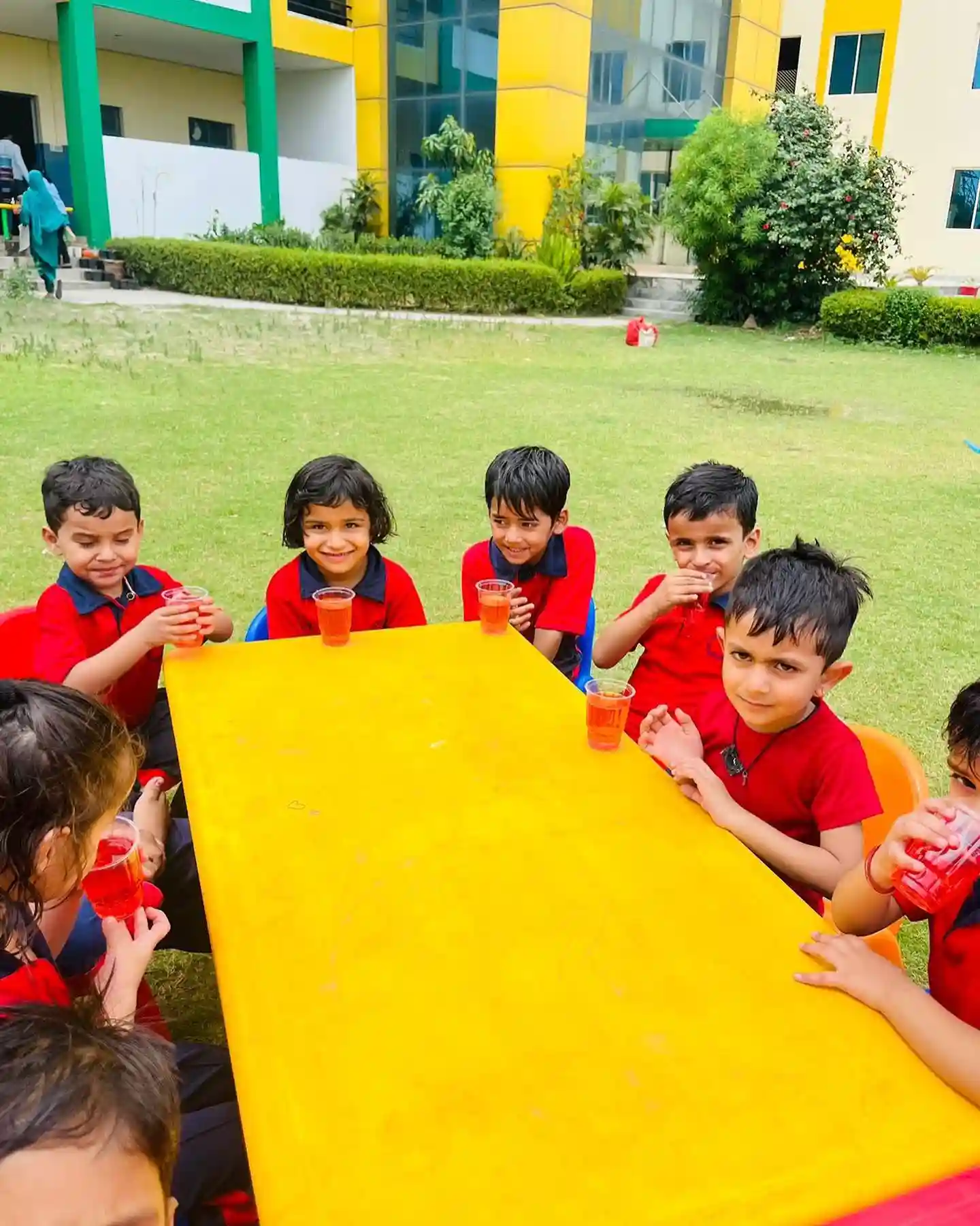 Rose Valley International School 8