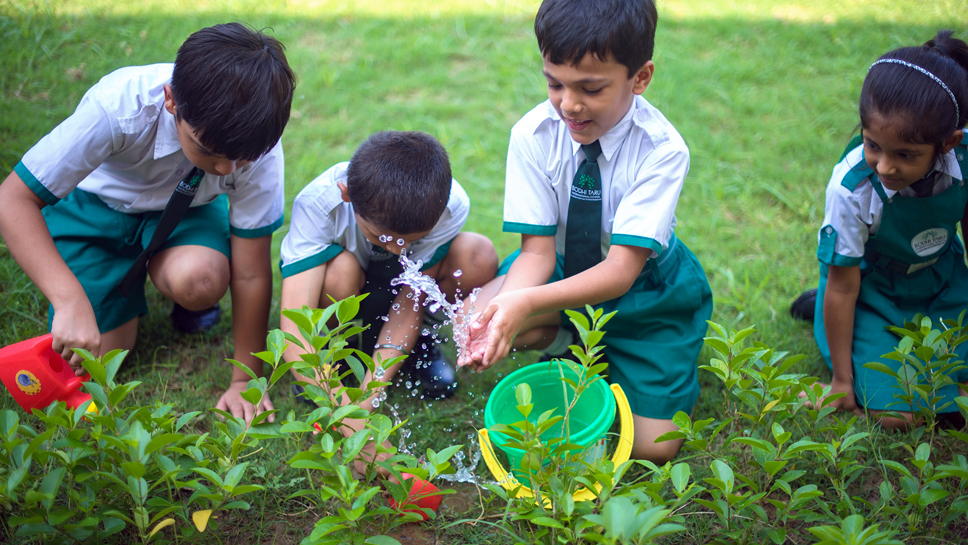 Bodhi Taru International School 6