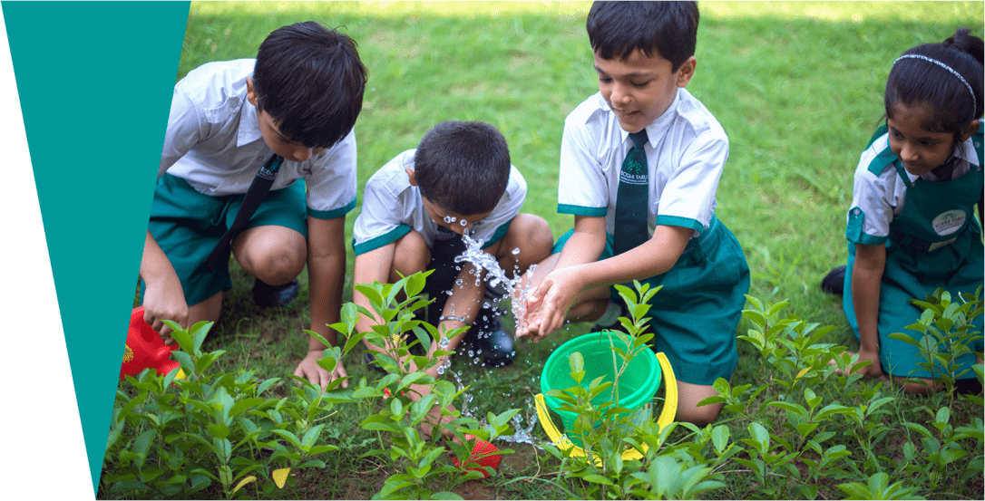 Bodhi Taru International School 9