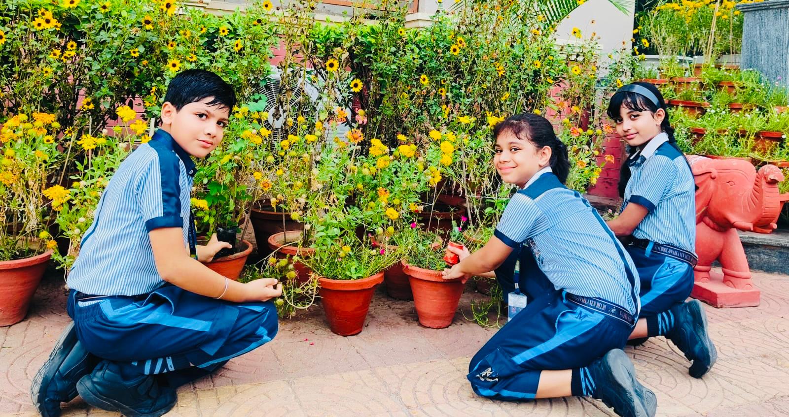 Maxfort School Dwarka 5
