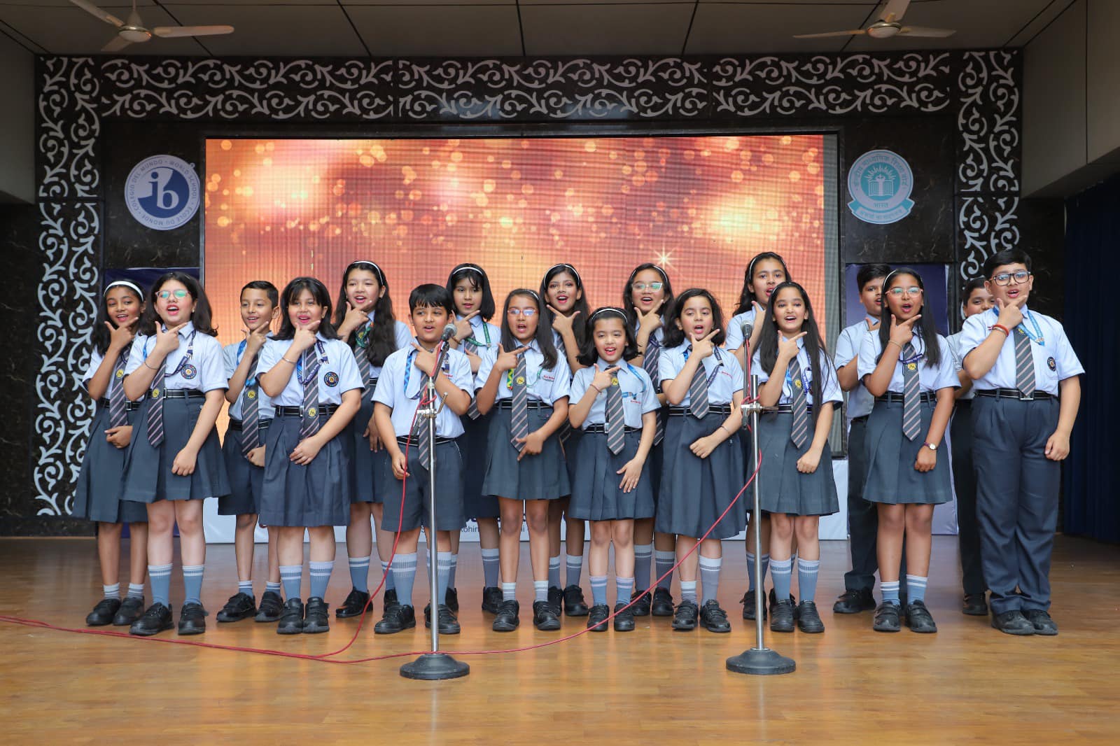 Mount Abu Public School,Sector 5 28