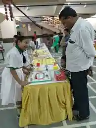 Vidya Bal Bhawan Public School 3