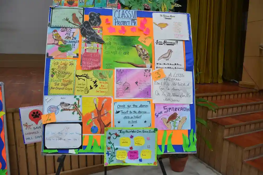 Delhi Public School 5