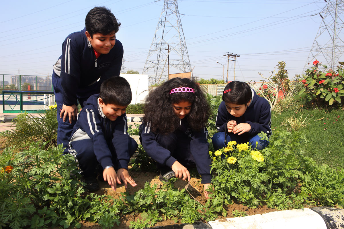 Darbari Lal Foundation World School 13
