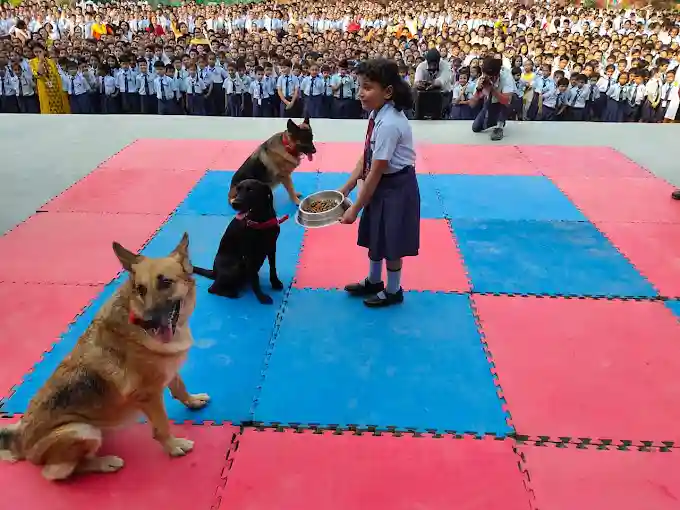 Ryan International School 3