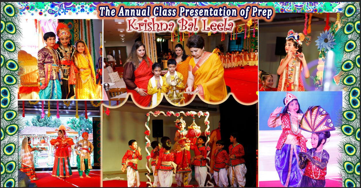 Delhi Public School 21