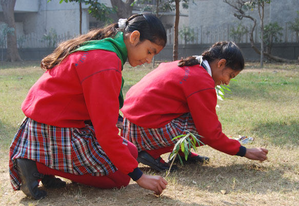 Glory Public School 5