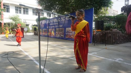 South Delhi Public School 30