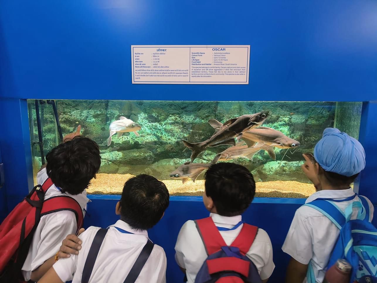 Guru Harkrishan Public School, Hemkunt Colony Greater Kailash gallery 12