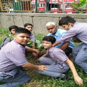 G.L.T Saraswati Bal Mandir Senior Secondary School 21