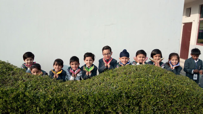 Oxford Public School 2
