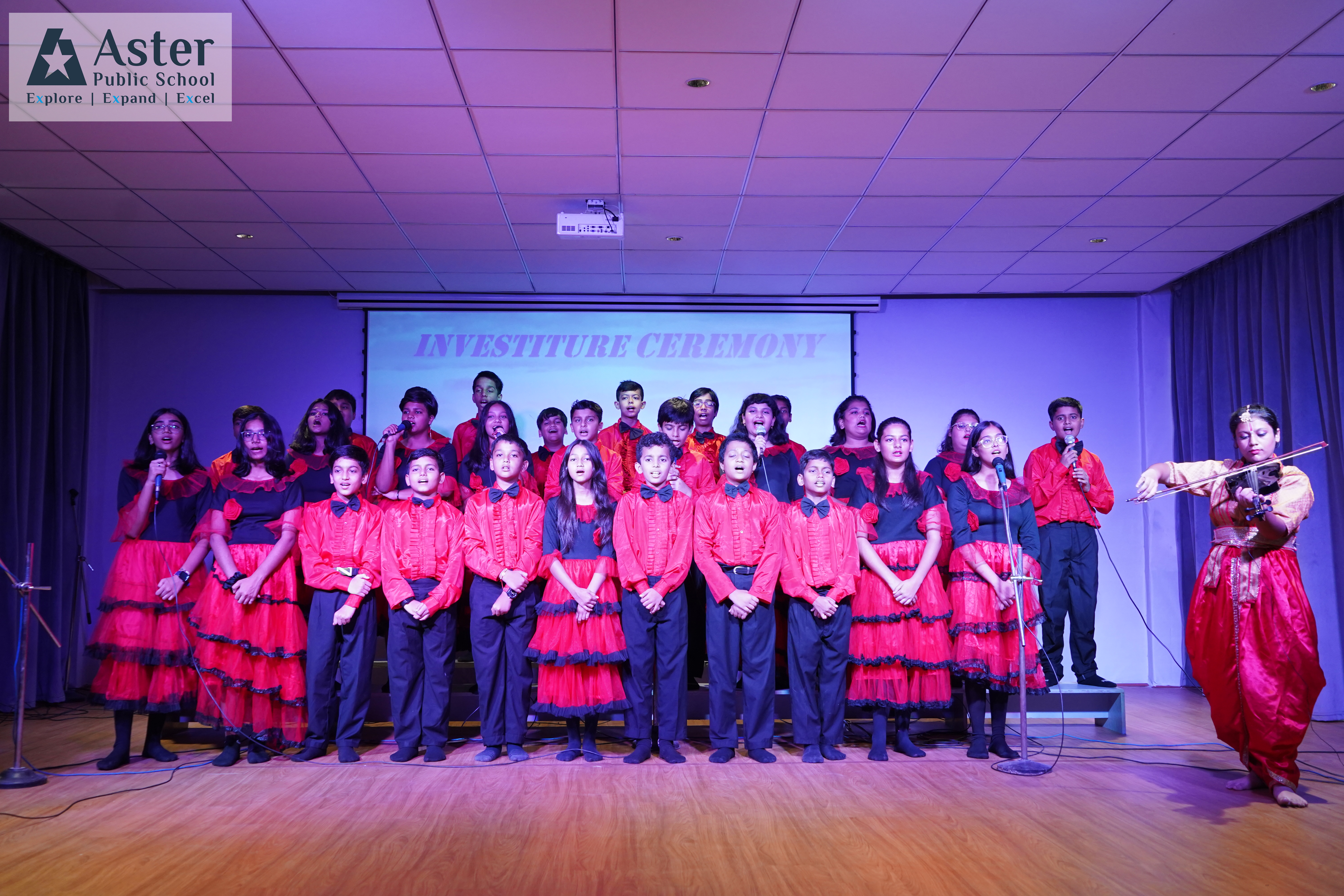 Aster Public School 6
