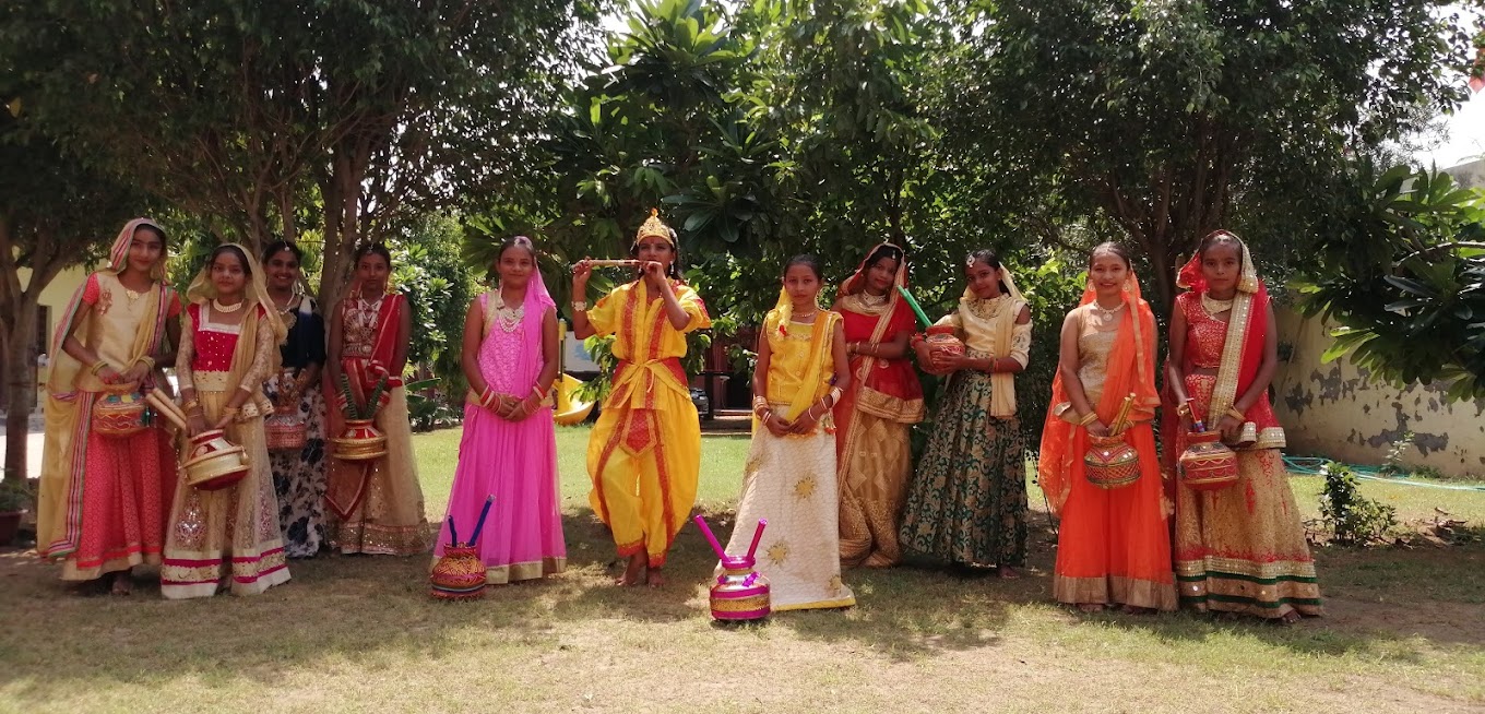 Vishva Bharti Public School campus 2