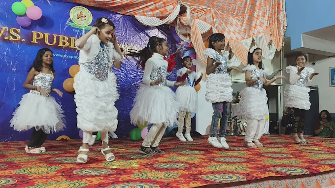 NVS Public School 10
