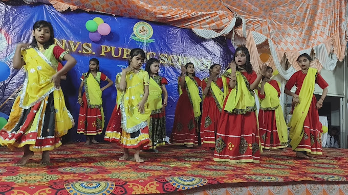 NVS Public School 19