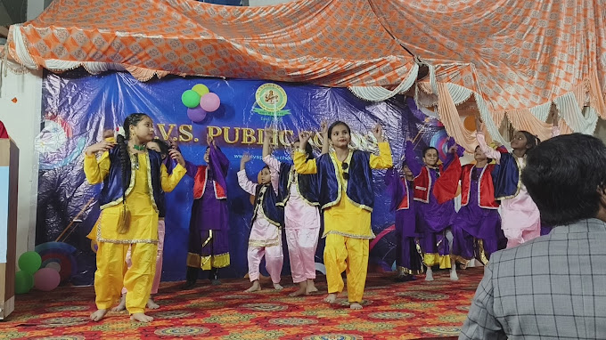 NVS Public School 21