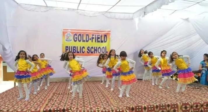 Gold Field Public School 6