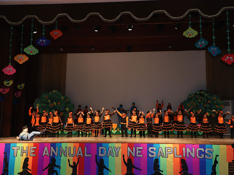 NE Saplings campus 2