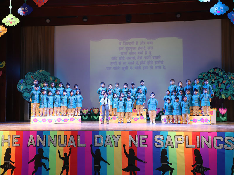 NE Saplings campus 6