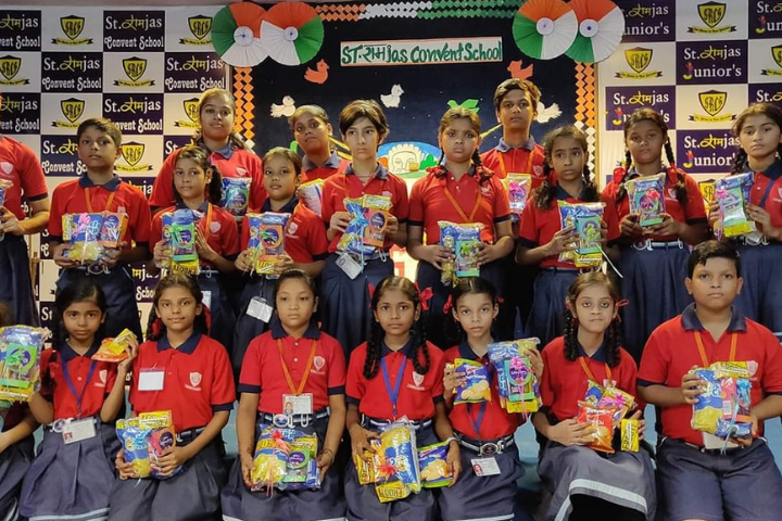 St. Ramjas Convent School 5