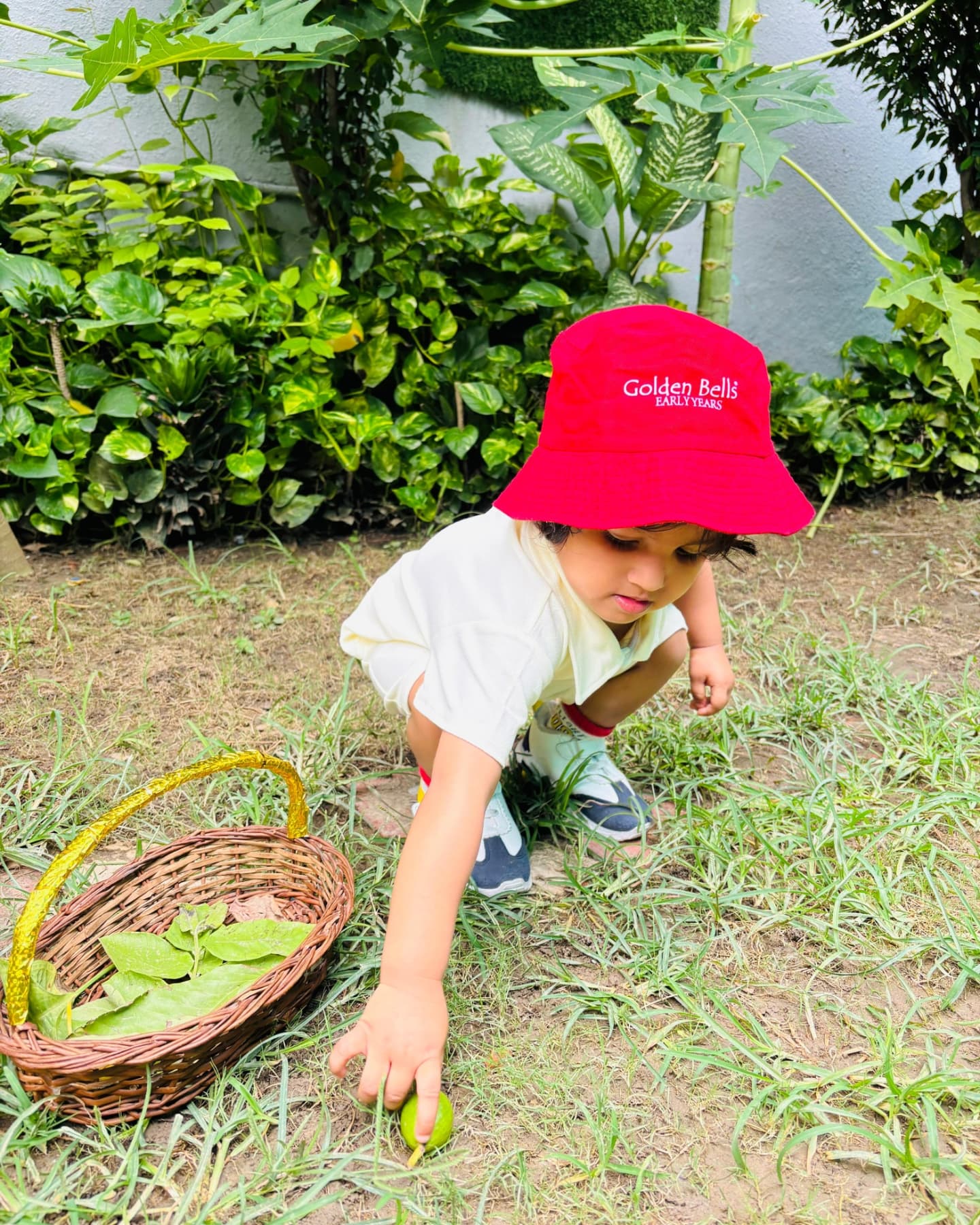 Golden Bells Pre School 9