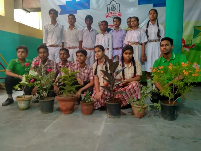 BR Public School campus 5