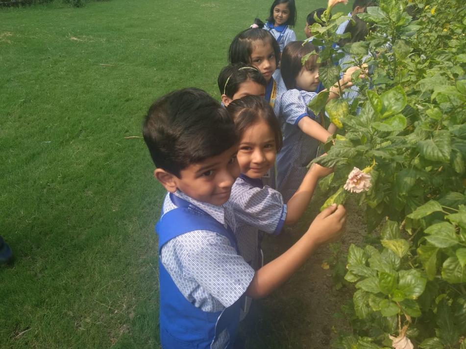 Indraprastha Global School 5
