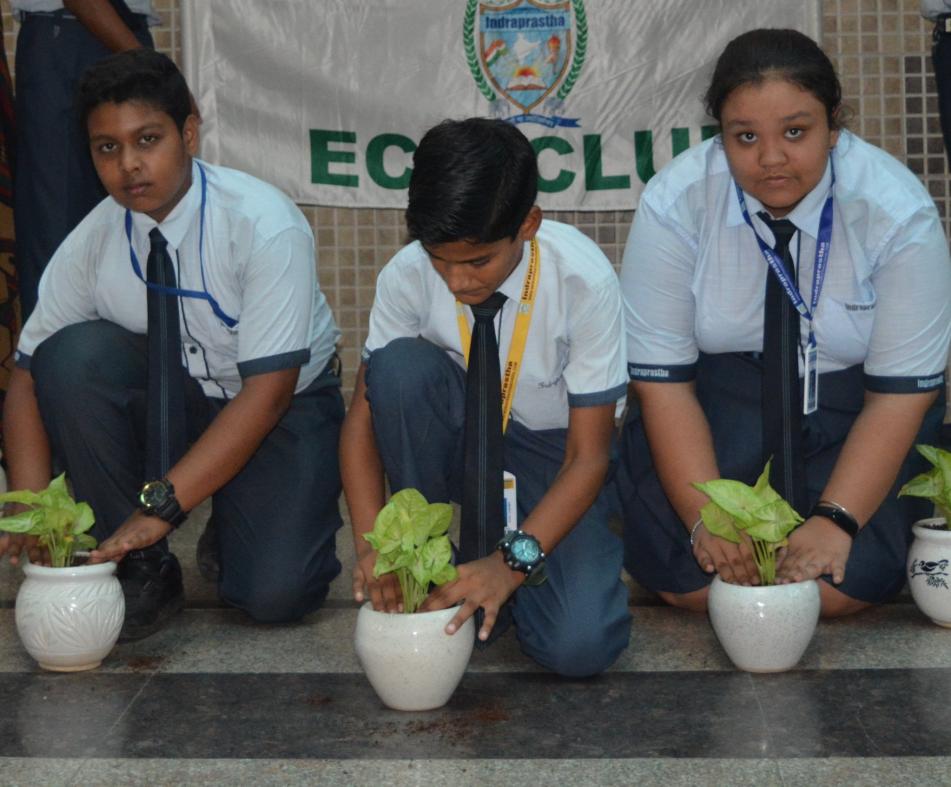 Indraprastha Global School 7