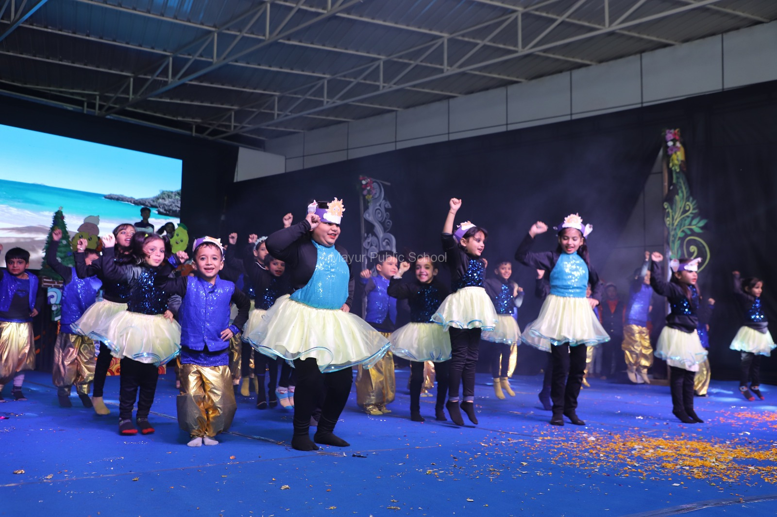 Mayur Public School 7