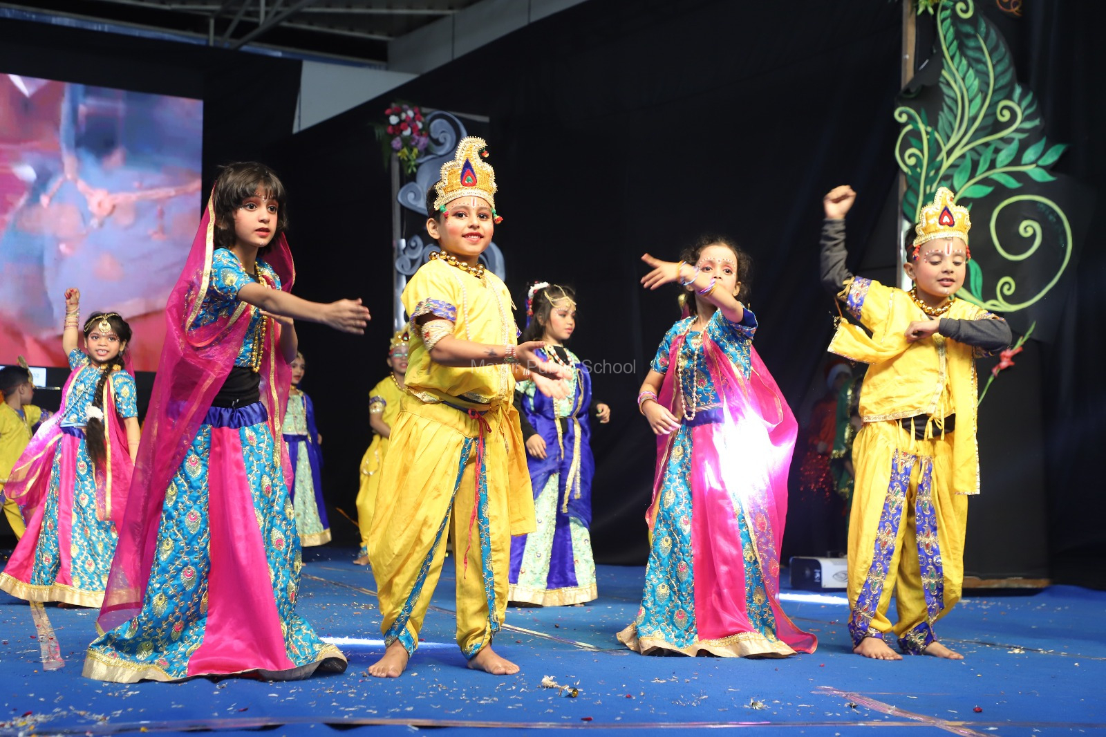 Mayur Public School 13
