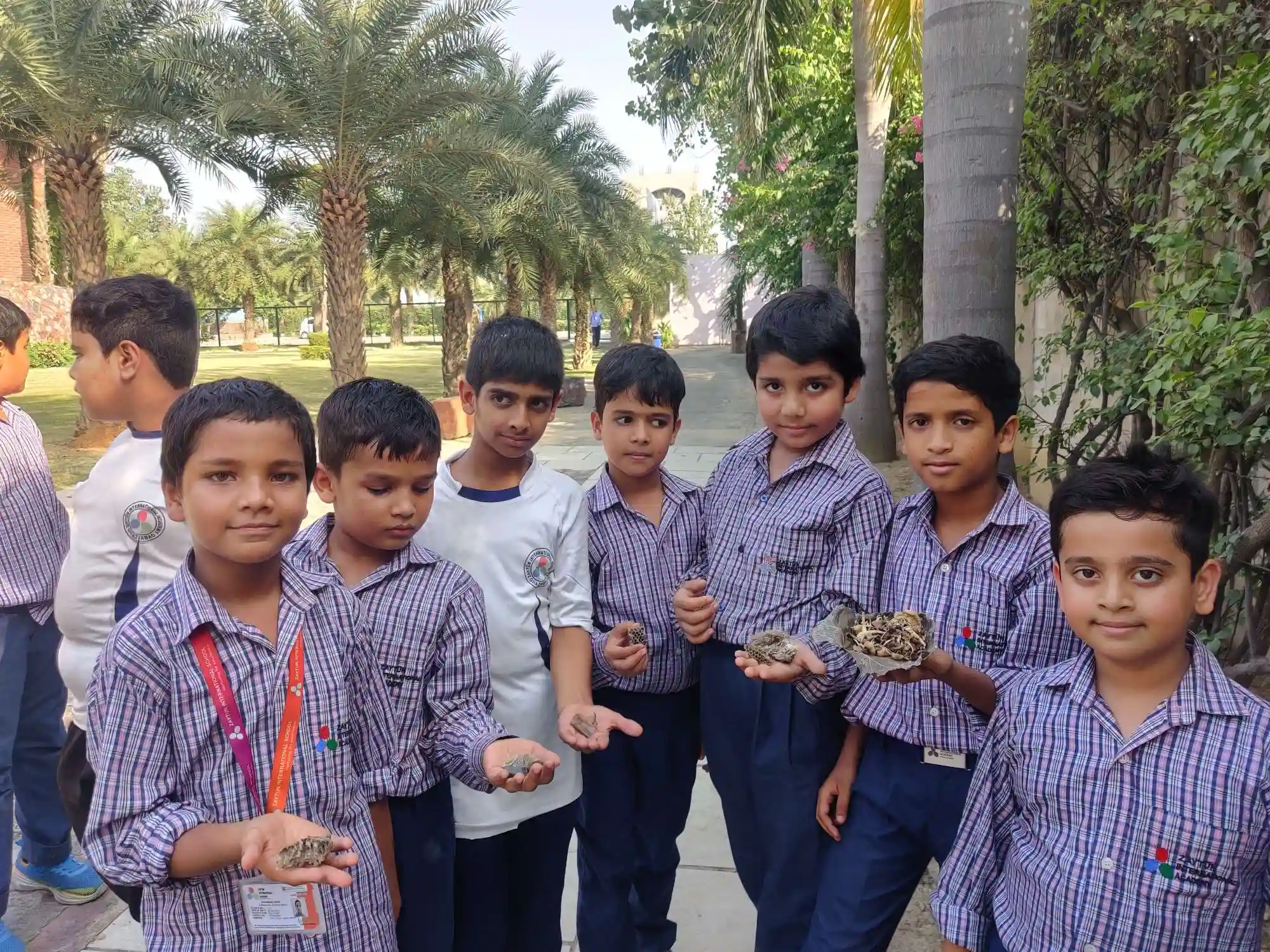Zaytun International Academy 9