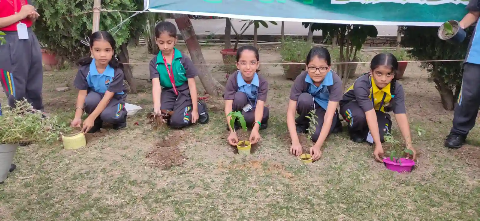 North-Ex Public School 15